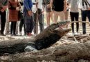 Protes Tiket Pulau Komodo Rp 3,75 Juta, Pelaku Wisata di Labuan Bajo Mogok Kerja Sebulan Penuh