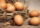 3 Manfaat Telur untuk Kesehatan dan Sumber Nutrisi Tubuh