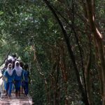 Destinasi Wisata Jarang Dikenal di Indramayu: Hutan Mangrove sampai Pulau Biawak