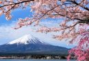 4 Rekomendasi Tempat di Jepang untuk Menikmati Sakura Mekar