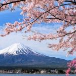 4 Rekomendasi Tempat di Jepang untuk Menikmati Sakura Mekar